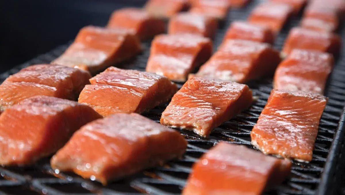 Liarsville Gold Rush Trail Camp & Salmon Bake photo 3