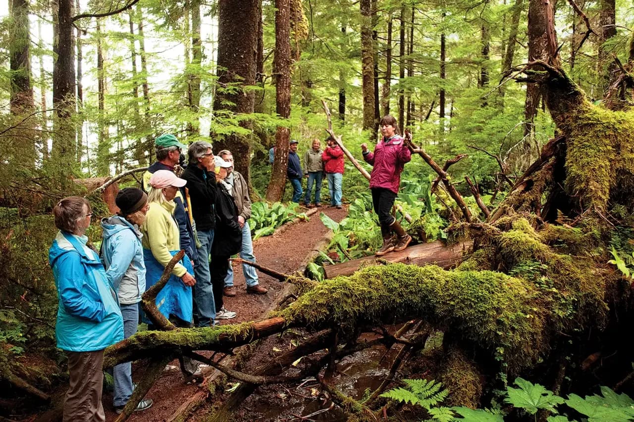 About Alaska Travel Adventures