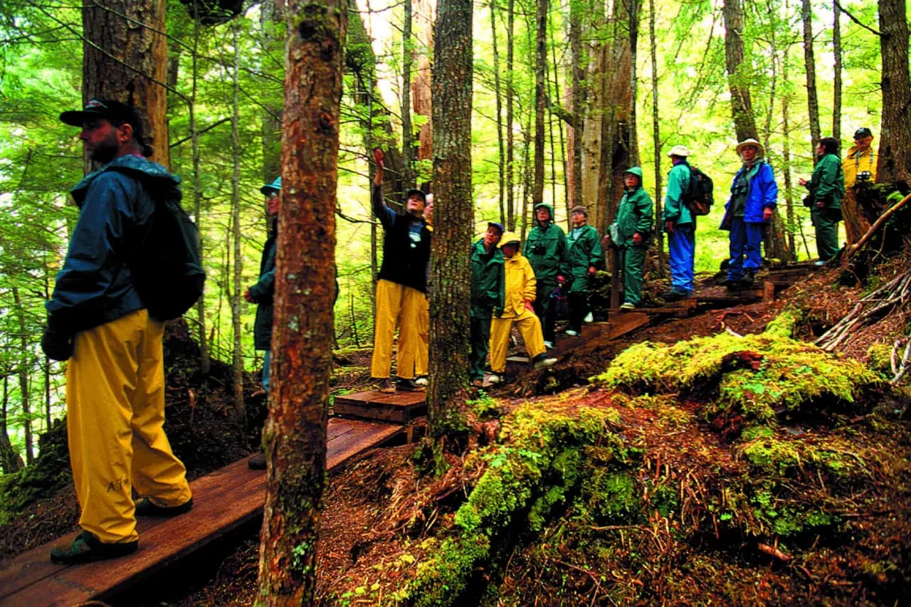 Rainforest Canoe Adventure & Nature Trail