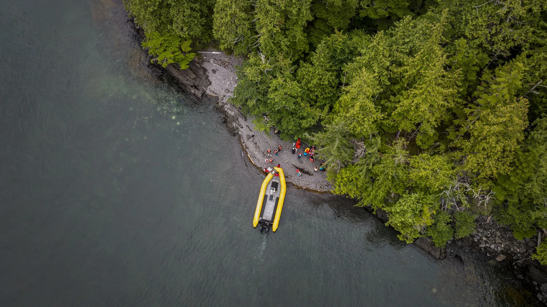 Ketchikan rainforest shoreline from above