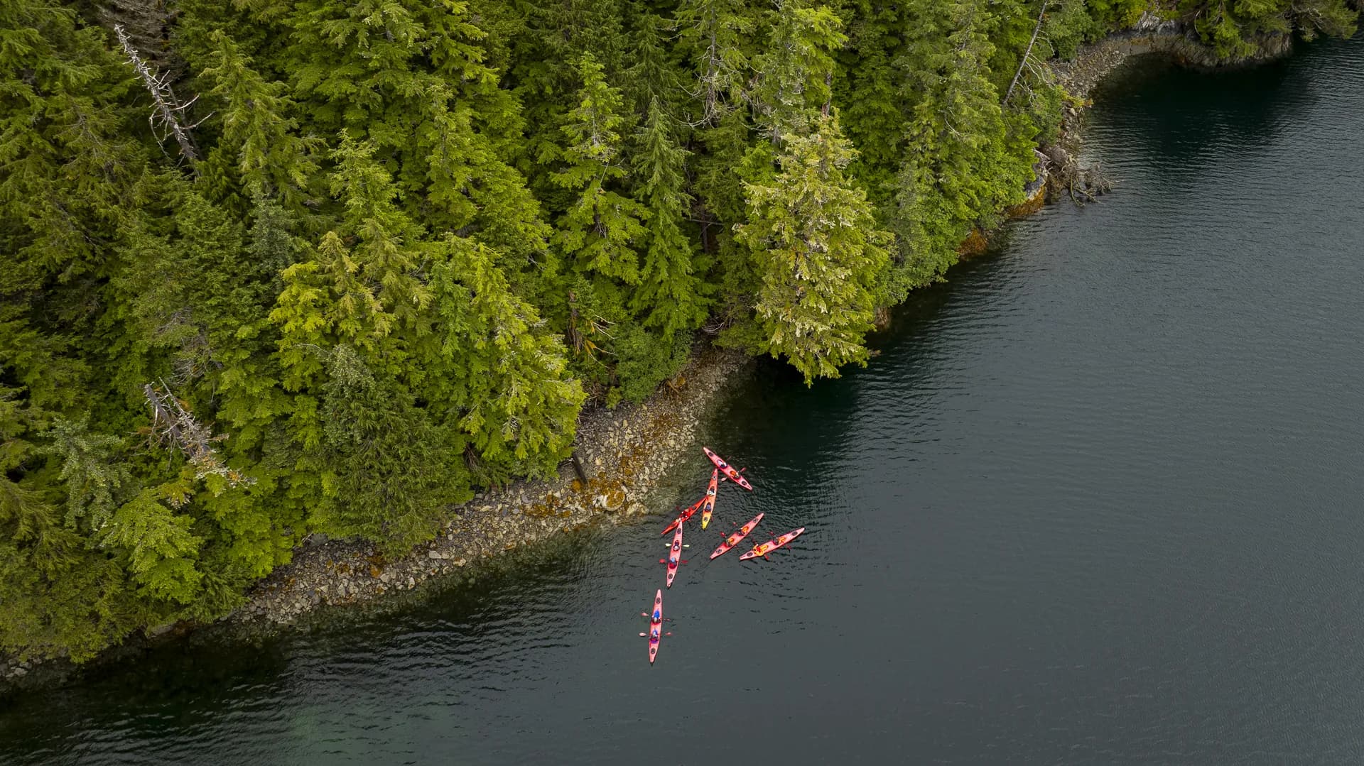 Wilderness Sea Kayaking