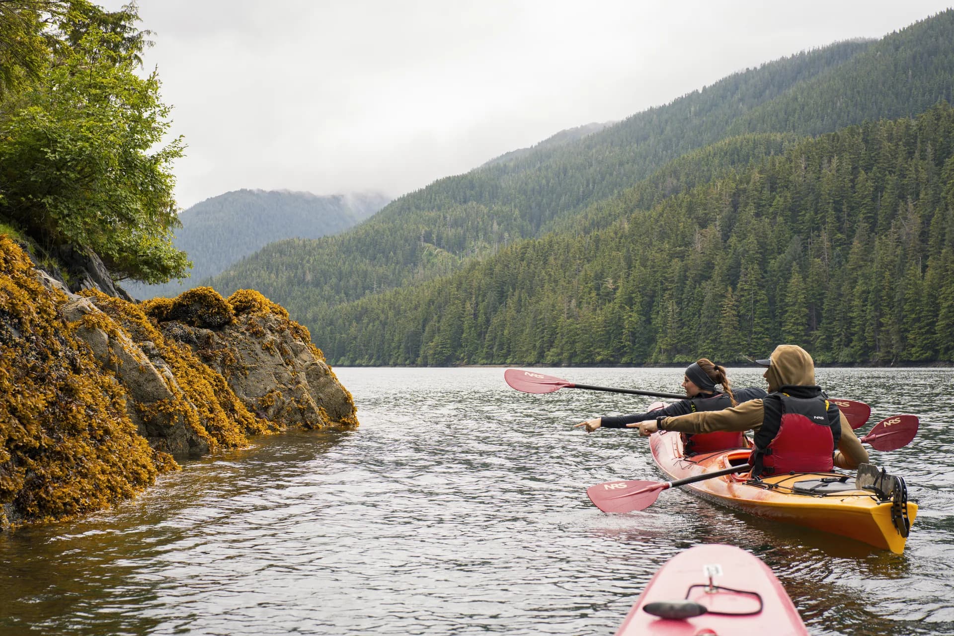 Wilderness Sea Kayaking