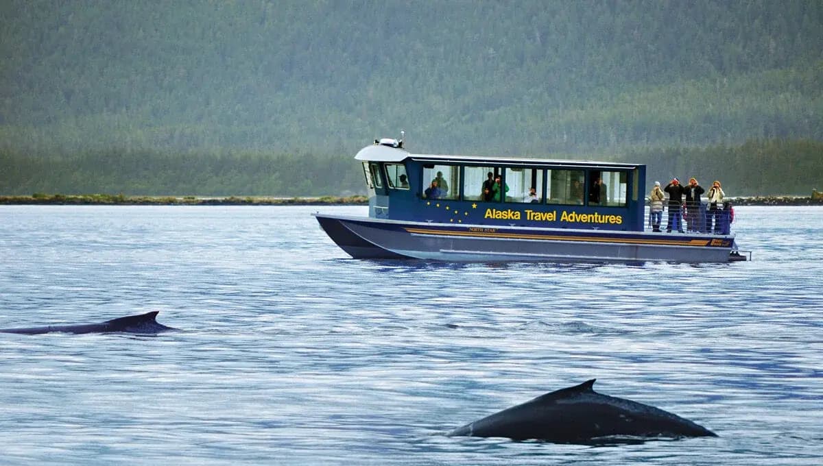 Alaska Travel Adventures whale watching boat near Juneau