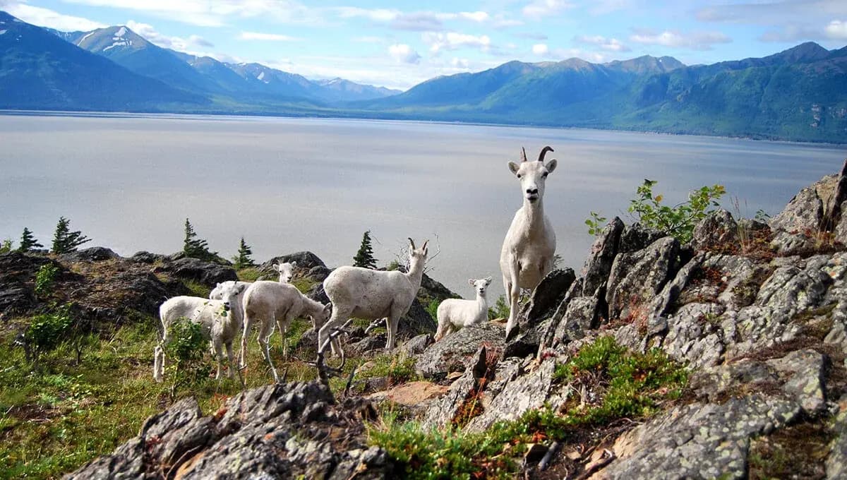 Whitehorse, Yukon
