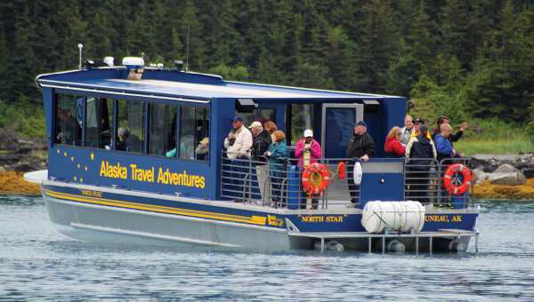 Whale Watching Adventure – Alaska Travel Adventures