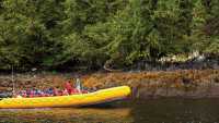 Wilderness Sea Kayaking Adventure – Alaska Travel Adventures